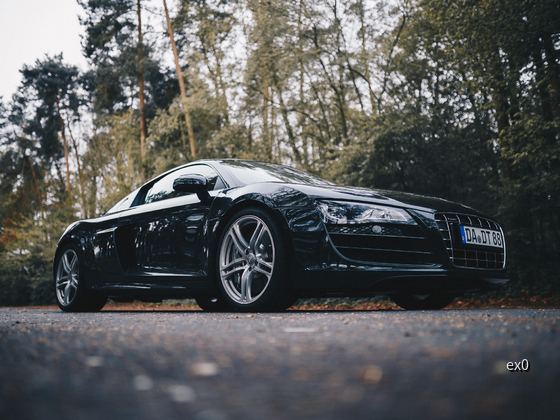 R8 (36 of 135)