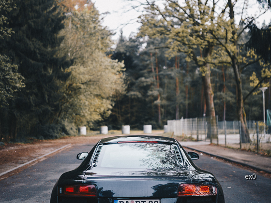 R8 (72 of 135)