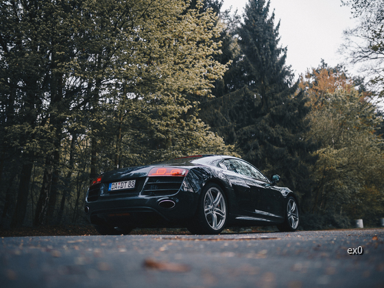 R8 (27 of 135)
