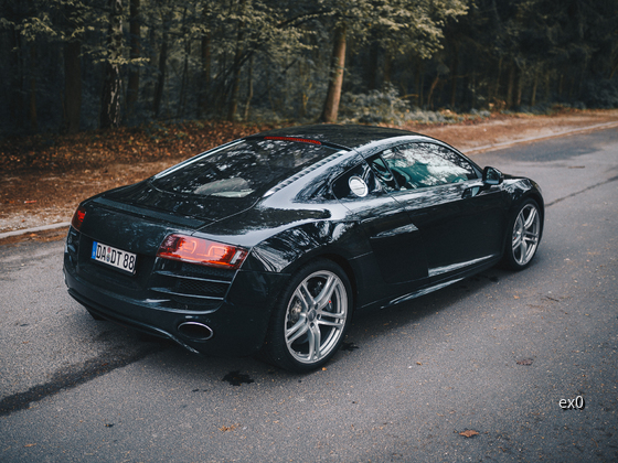 R8 (67 of 135)